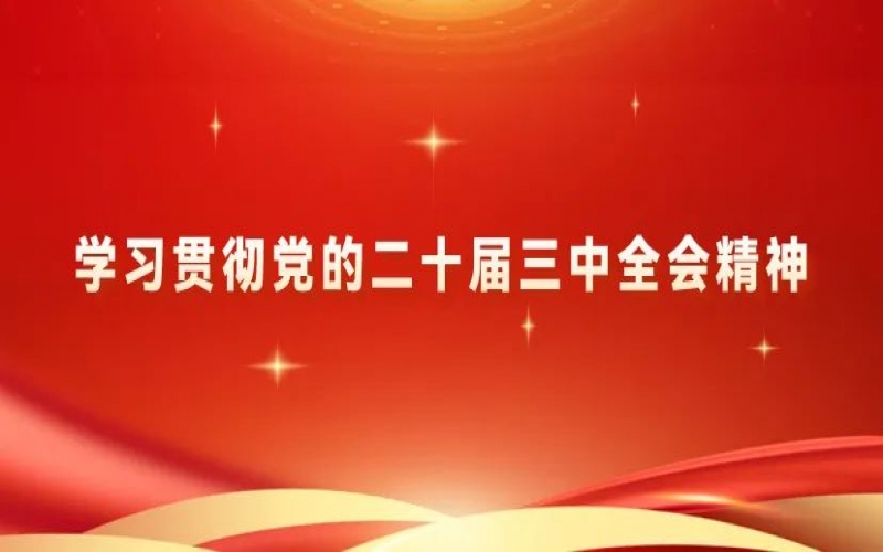 党建阵地 - 瓦力游戏集团党员干部学习贯彻党的二十届三中全会精神体会交流（五）