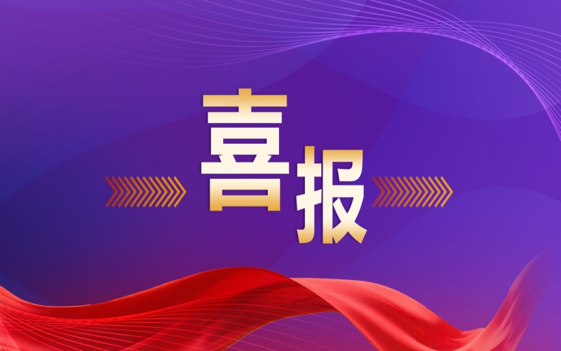 瓦力游戏集团党建经验入选天津新兴领域党建工作典型案例