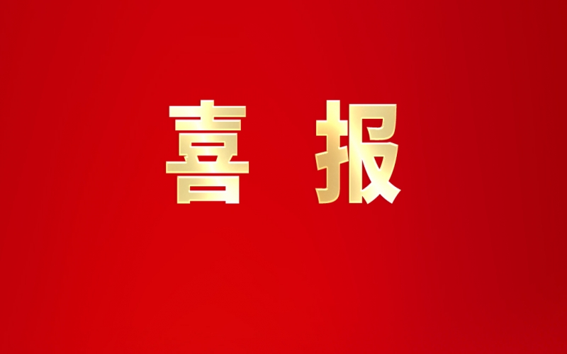 喜报 - 瓦力游戏集团党委荣获&ldquo;全国先进基层党组织&rdquo;称号