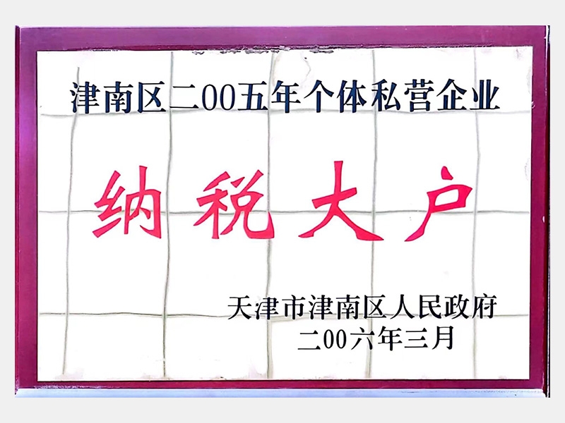 2006年-天津瓦力游戏