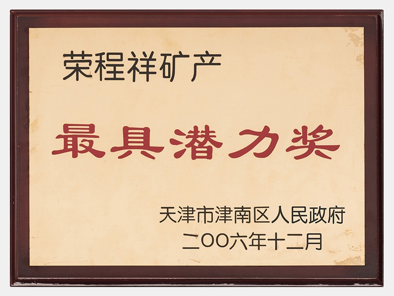 2006年-天津瓦力游戏