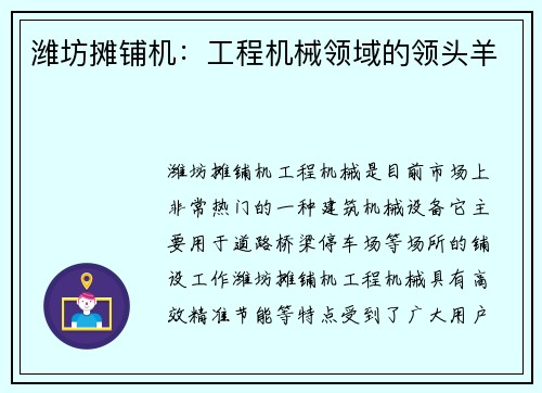潍坊摊铺机：工程机械领域的领头羊